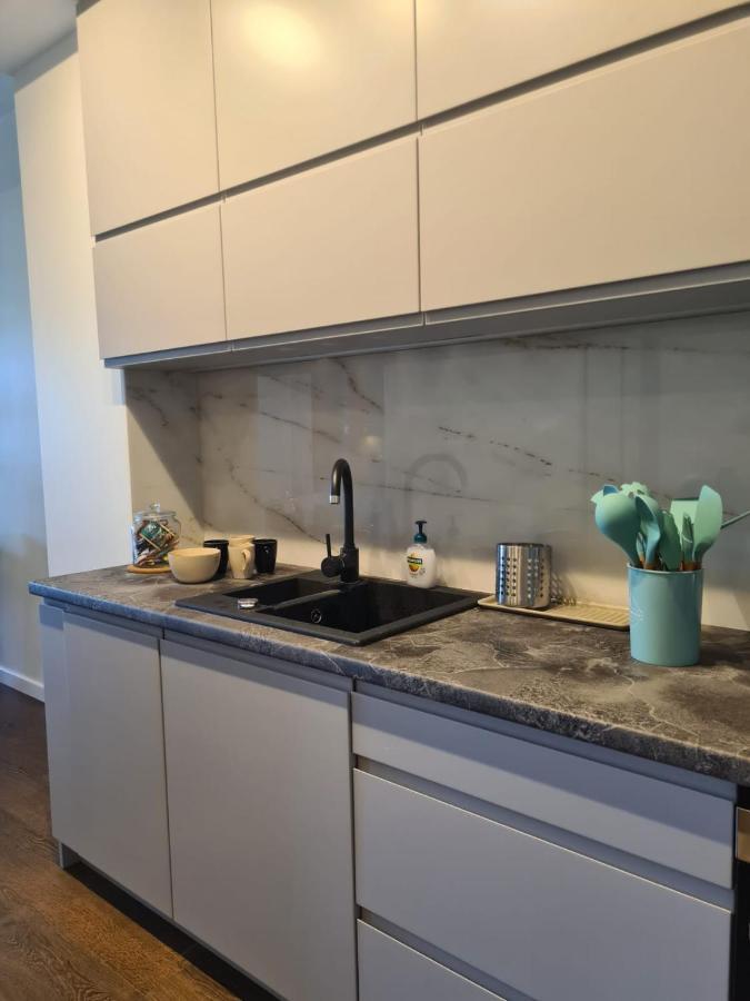 Venice Villa Apartment, Self Check-In 24H, Free Parking Πόζναν Εξωτερικό φωτογραφία
