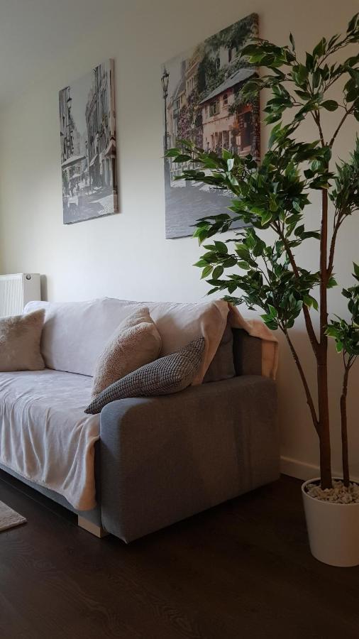 Venice Villa Apartment, Self Check-In 24H, Free Parking Πόζναν Εξωτερικό φωτογραφία