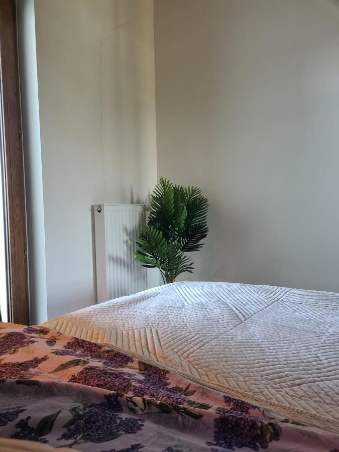 Venice Villa Apartment, Self Check-In 24H, Free Parking Πόζναν Εξωτερικό φωτογραφία