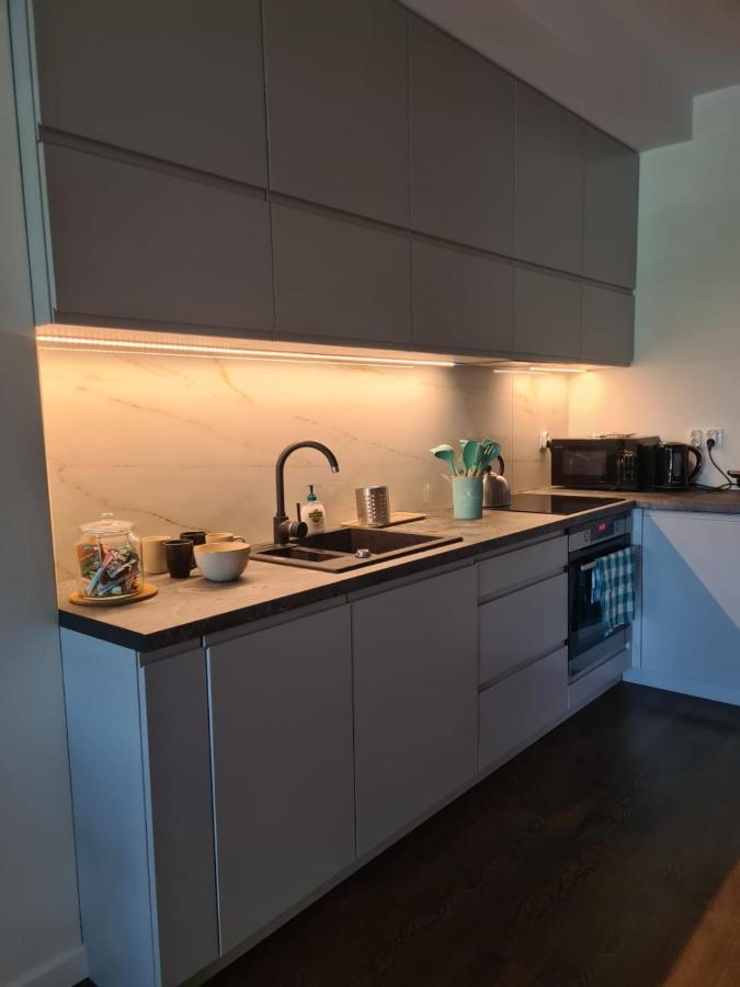 Venice Villa Apartment, Self Check-In 24H, Free Parking Πόζναν Εξωτερικό φωτογραφία